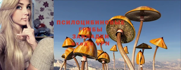 мдпв Иннополис