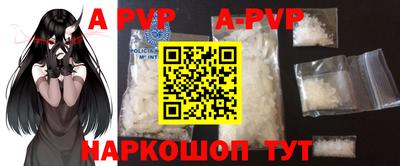 a pvp Кингисепп