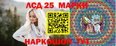 a pvp Кингисепп