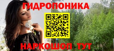 a pvp Кингисепп