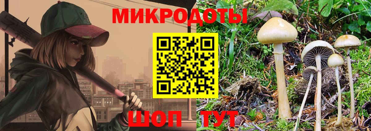 Галлюциногенные грибы мицелий Сосновоборск