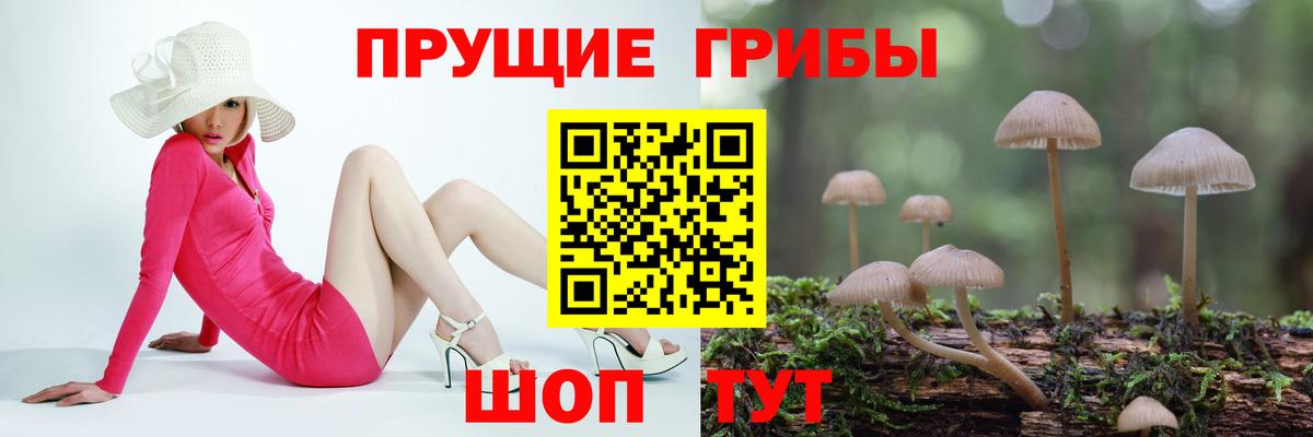 Галлюциногенные грибы Psilocybine cubensis  Галлюциногенные грибы MAGIC MUSHROOMS  Сосновоборск 