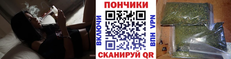 где найти наркотики  Сосновоборск  Шишки марихуана планчик 